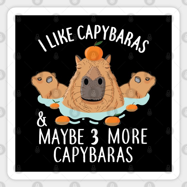 I like Capybaras and maybe 3 people Funny Baby Capybara Sticker by alltheprints